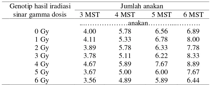 Tabel 3. Rataan jumlah anakan pada genotip bawang merah generasi M1V5 umur        3 – 6 MST 