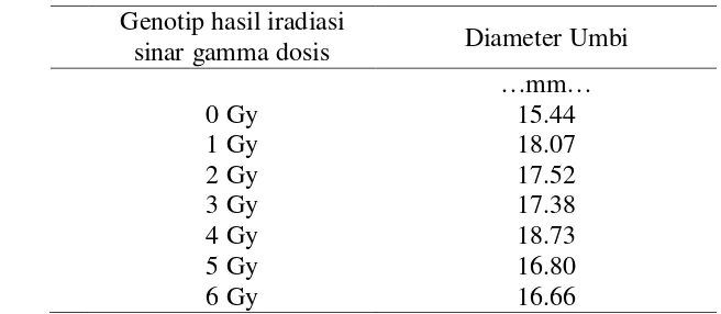 Tabel 5. Rataan diameter umbi pada genotip bawang merah generasi M1V5 umur           3 – 6 MST 