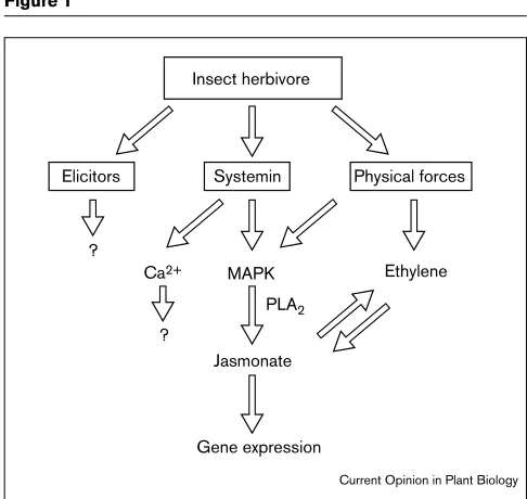 Figure 1`