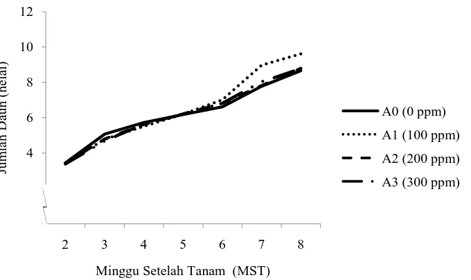 Gambar 9. Perkembangan jumlah daun bibit bud set tebu umur 2-8 MST pada berbagai umur sumber bahan tanam bibit bud set  tebu 