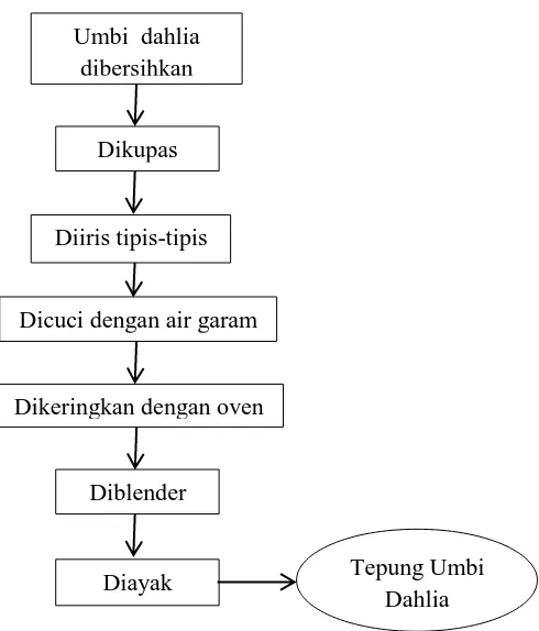 Gambar 3.1 Diagram Alir Pembuatan Tepung Umbi Dahlia 