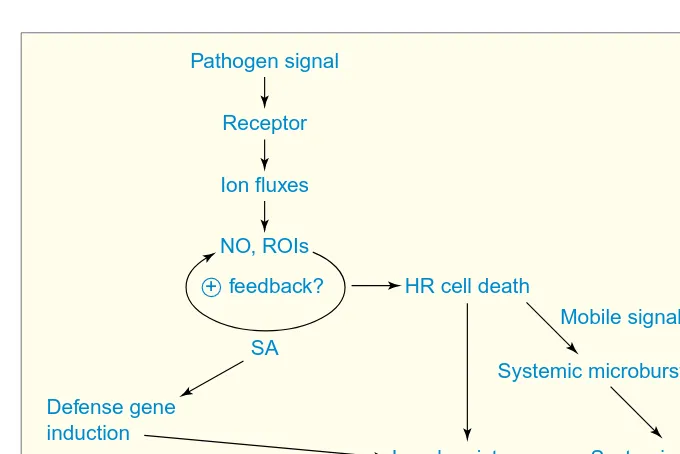 Figure 1not sufficient to trigger cell death.Regulation of local and systemic defense responses by ion fluxes, reactive oxygen inter-
