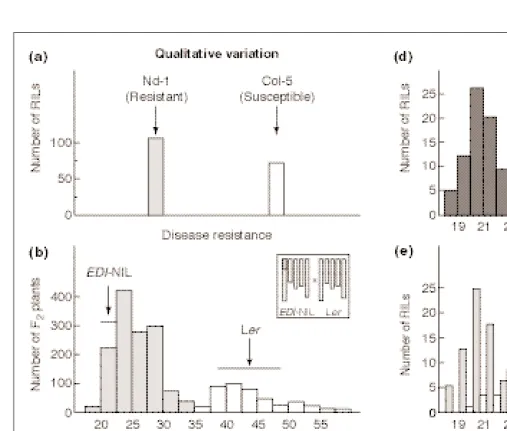 Fig. 3. A comparison of qualitative and quantitative variation and mapping. Qualitative variation for a trait, defined by a phenotypic distribution thatCvi (Cape Verde Islands) alleles are depicted in light grey]