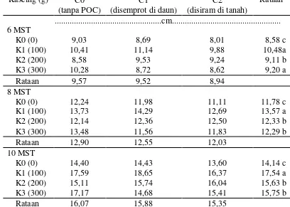 Tabel 1. Tinggi bibit pada berbagai dosis kascing dan cara pemberian pupuk    organik  cair pada umur 6, 8, 10 MST 