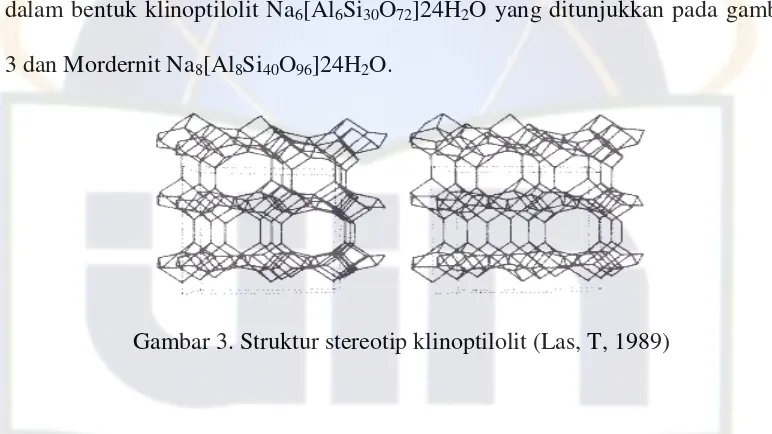 Gambar 3. Struktur stereotip klinoptilolit (Las, T, 1989) 