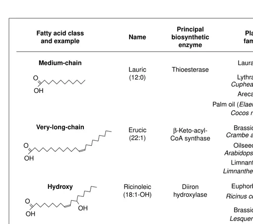 Fig. 1. Examples of some of the unusual fatty acids made by plants. Current commercial sources are indicated by an asterisk.