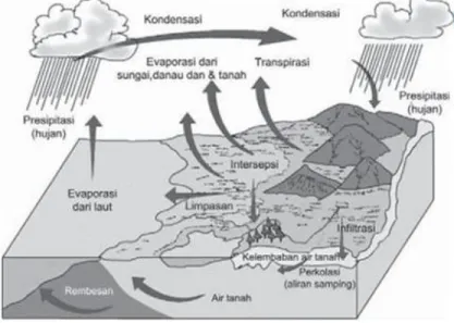 Gambar 3. Skema siklus hidrologi 