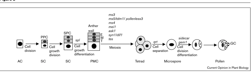 Figure 2ms3