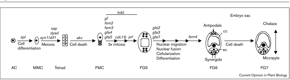 Figure 3hdd