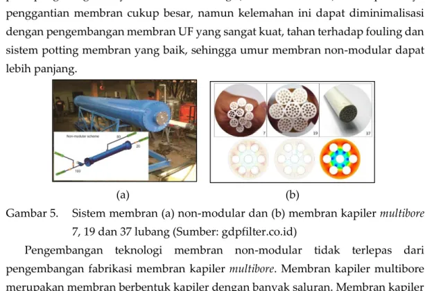 Gambar 5.  Sistem membran (a) non-modular dan (b) membran kapiler multibore  7, 19 dan 37 lubang (Sumber: gdpfilter.co.id) 
