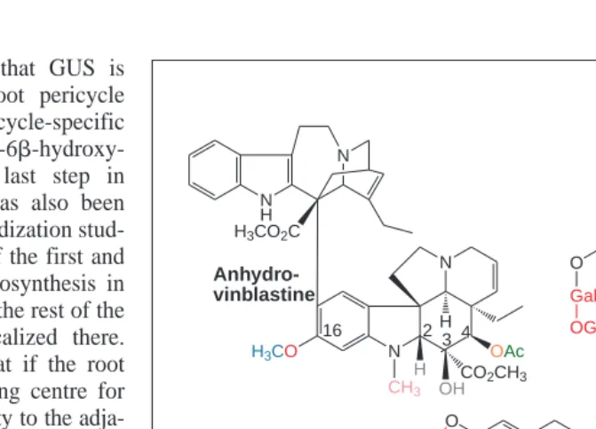Fig. 1. Typical substitution reactions involved in the diversification of alkaloid structures.Anhydro-vinblastine is composed of catharanthine (upper molecule) and vindoline (lower molecule)
