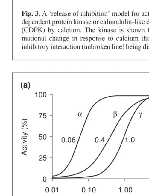 Fig. 3. A ‘release of inhibition’ model for activation of a calcium-dependent protein kinase or calmodulin-like domain protein kinase(CDPK) by calcium