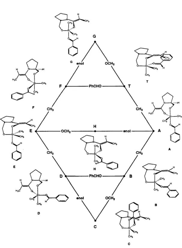 Figure  2.  A  graph  of all  tbp  O-sUyl N,O-acetal '-benzaldehyde complexes  and pseudorotational paths  interconverting these isomers (the isomer where the 7-membered ligand spans axial positions is omitted)