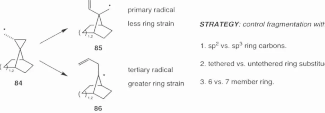 Figure  9. Strategy for contro lling  radical fragmentation selectivity. 