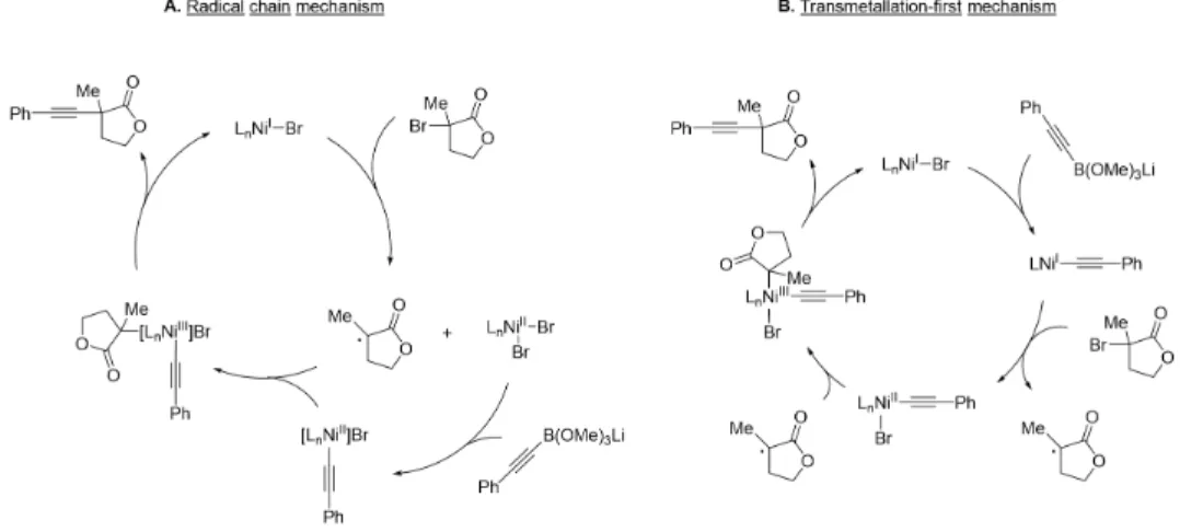 Figure 2.8: The radical chain mechanism and transmetallation-first mechanism for nickel-catalyzed alkynylation of tertiary electrophiles.
