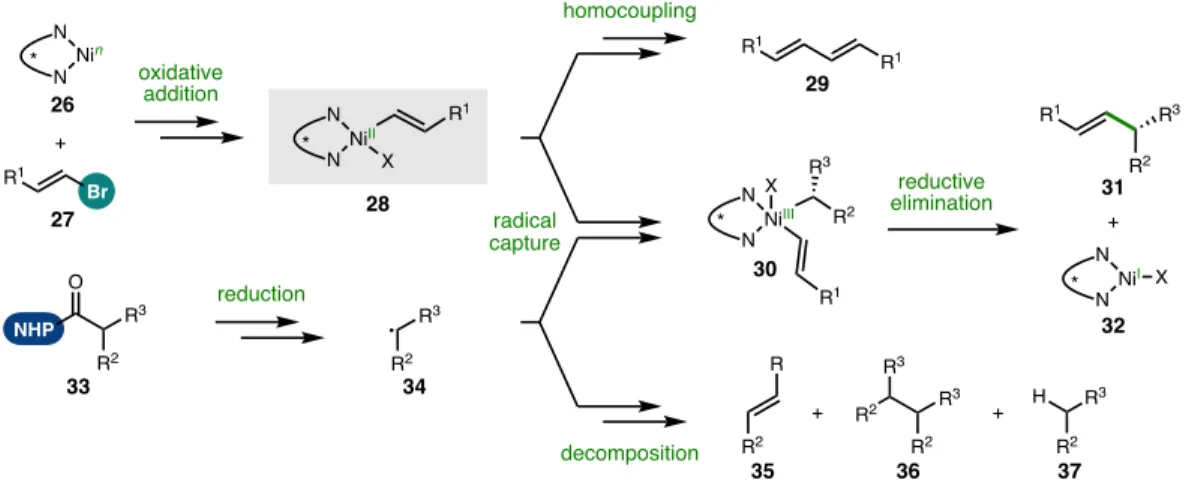 Figure 5.15 Working mechanistic hypothesis: single RCC 