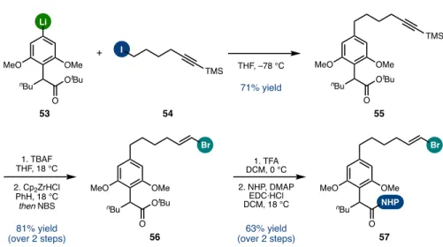 Figure 5.26 Fragment coupling and electrophile unmasking 