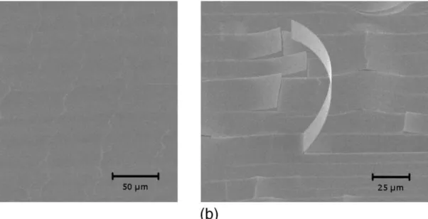FIG. 7. SEM image of the free surface of the transferred thin film. 共 a 兲 One can see a network of parallel fractures with telephone-cord-like cracks which are characteristic of buckling instabilities; 共 b 兲 one can observe the network of secondary cracks 