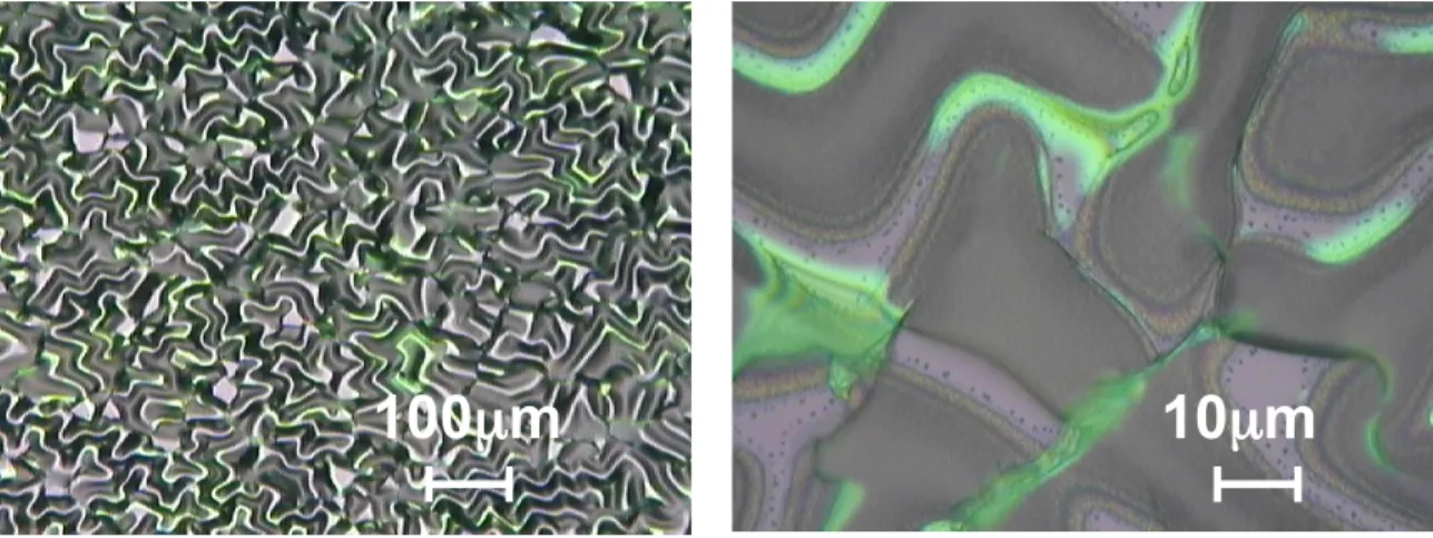 Figure 4.8. The left and right panels represent optical microscopy images of layer transfered LiNbO 3