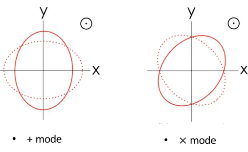 Figure 1.3: The two polarization modes of the gravitational wave which propagates along the z-axis.