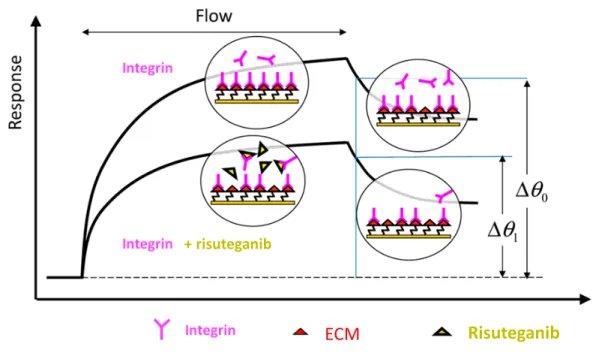 Figure 1.4 Scheme for competitive surface plasmon resonance (SPR) to measure the  binding  between  Risuteganib  and  different  integrin  receptors