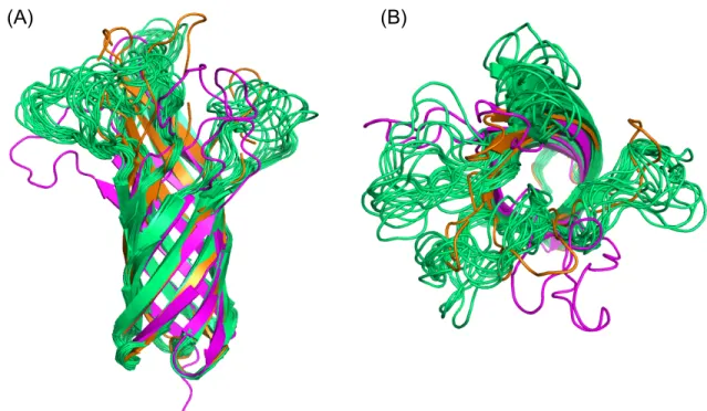 Figure 2.1: 15 OmpA conformations for docking: 13 conformations from 1.5Å RMSD  distance clustering of 2500 snapshots from 2.5ns MD (green), 1 X-ray crystal structure  (orange, 1BXW), 1 NMR lowest DREIDING force field energy structure (magenta,  1G90_3)