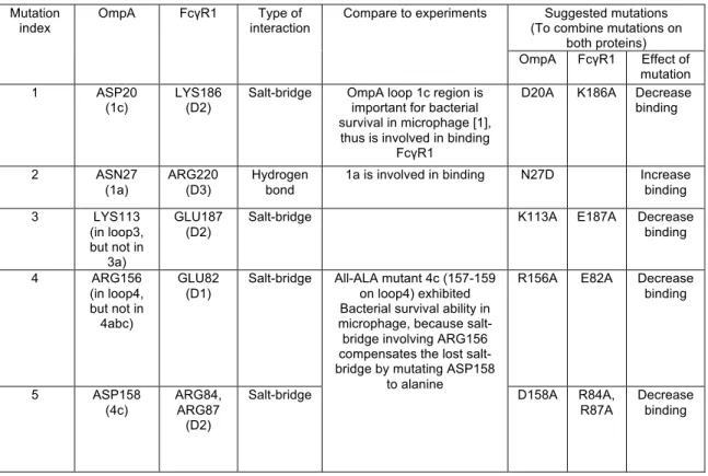Table 2.2: Specific interactions in the protein-protein interface of the best pose. 