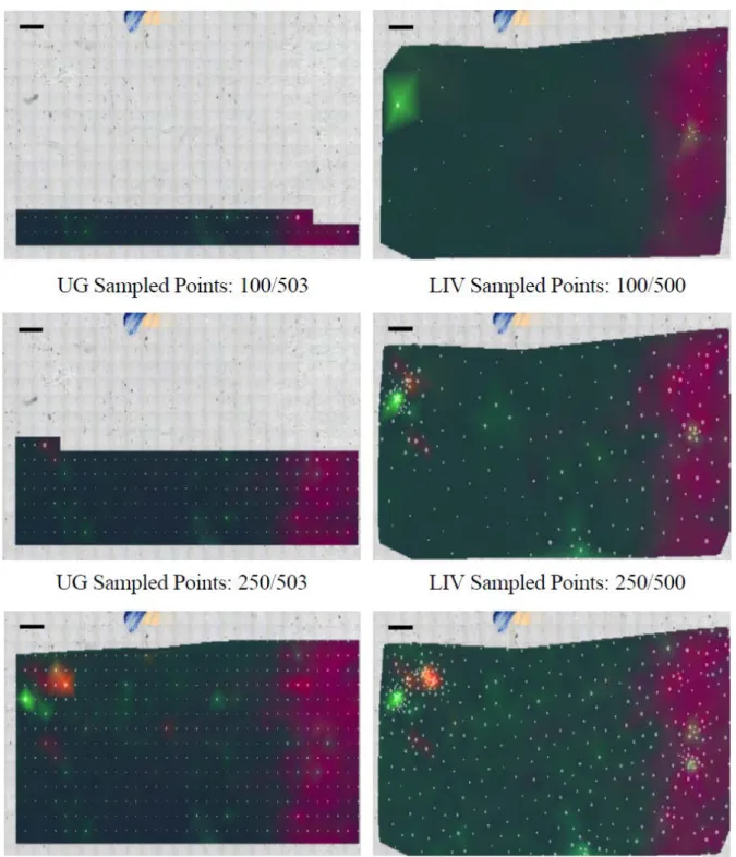 Figure 2.  Autonomous sampling of abiotic two-component sample for current standard  UG and adaptive LIV methods (scale bar, 200 μm)