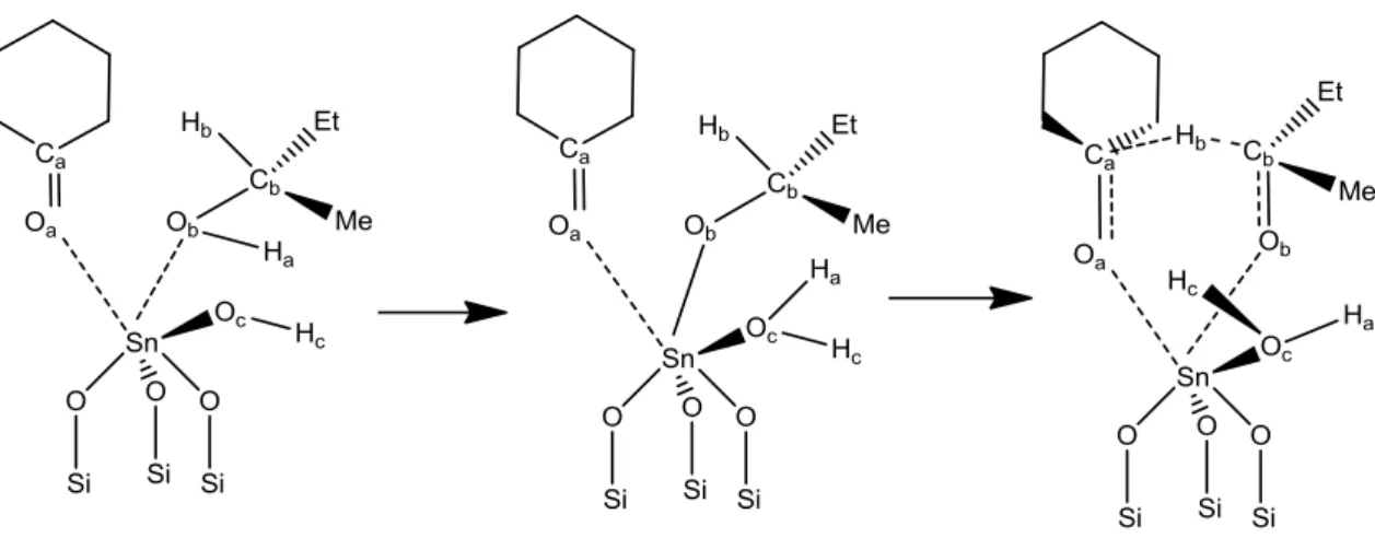 Figure 1.6 Proposed reaction mechanism for the MPV reaction using Sn-Beta catalyst 74 