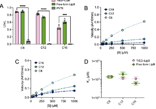 Figure 3.2.  Michaelis Menten analysis of TIED-LipB and free form LipB. (A), Normalized activity of TIED- TIED-LipB  (combination  of  P CotG  and CotZ  fusion  partner)  and free-form LipB for  hydrolysis  of  p-nitrophenyl  palmitate (C16), p-nitrophenyl