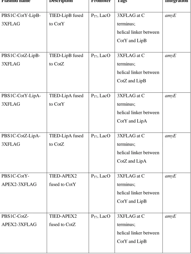 Table S3.2. Genetic constructs   