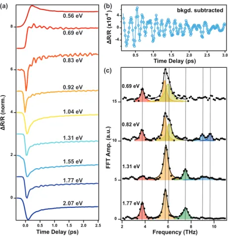 Figure 5.2: Probe-energy-dependent transient reflectivity. (a) Normalized transient reflectivity pumped at 15 mJ/cm 2 and probed at several energies