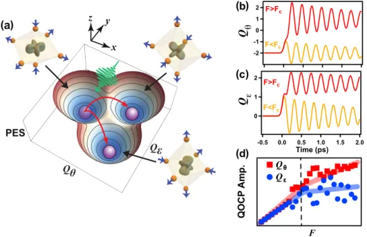 Figure 5.7: Microscopic model simulation results. (a) Schematic of PES of the quadrupolar ordered phase calculated from the microscopic model (Methods)