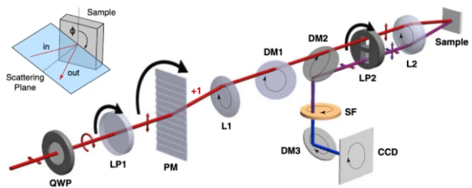Figure 2.4: Schematic layout of the SHG-RA experimental setup. The figure is adopted from Harter, Niu, et al., 2015.