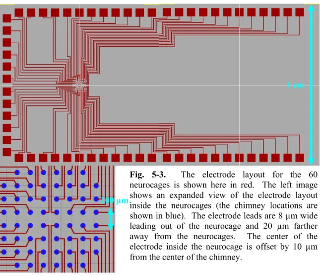 Fig. 5-3.  The electrode layout for the 60  neurocages is shown here in red.  The left image  shows an expanded view of the electrode layout  inside the neurocages (the chimney locations are  shown in blue)