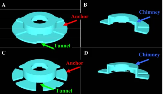 Fig. 3-1.  Two different neurocage designs: long tunnels (A and B) and  short tunnels (C and D)