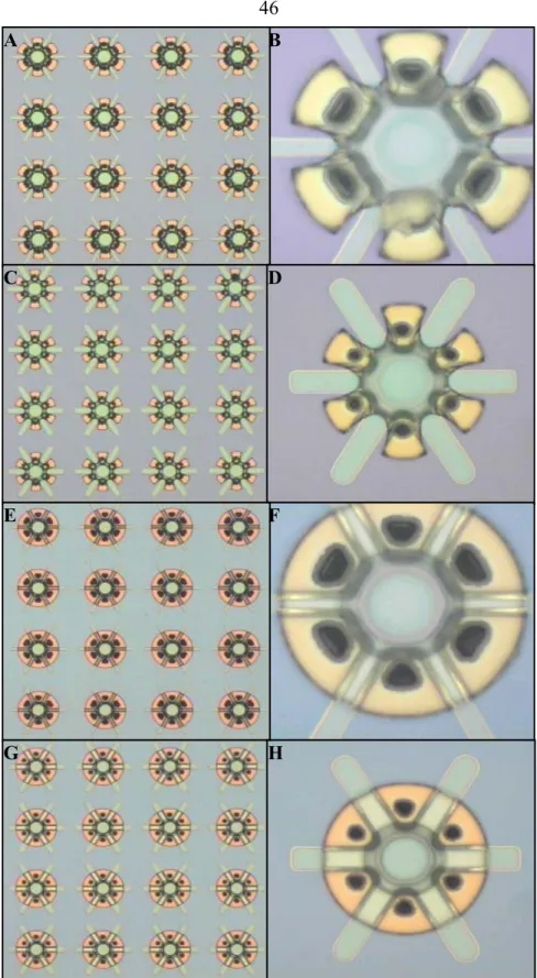Fig. 3-13.  Optical images of neurocage arrays (A, C, E, and  G) and individual  neurocages (B, D, F, and H) with soft-baked photoresist tunnels and chimneys