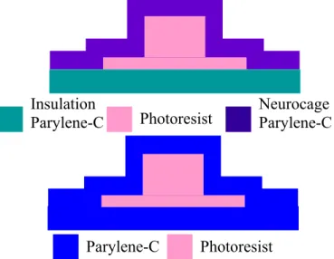 Fig. 4-2.  The top image shows the neurocage Parylene- Parylene-C deposited on top of the insulation Parylene-Parylene-C