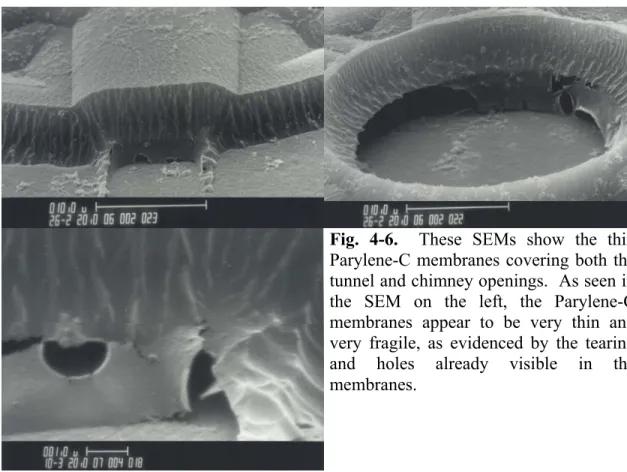 Fig. 4-6.  These SEMs show the thin  Parylene-C membranes covering both the  tunnel and chimney openings