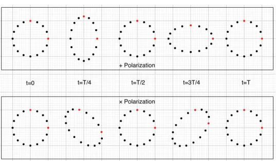 Figure 2.1: Effect of a GW on a circle of test particles. Shown are the effects of a + polarized wave and a