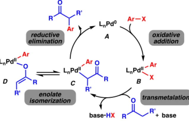 Figure 2.2.1 Mechanism for Pd-Catalyzed  a -Arylation of Carbonyl Derivatives 13 