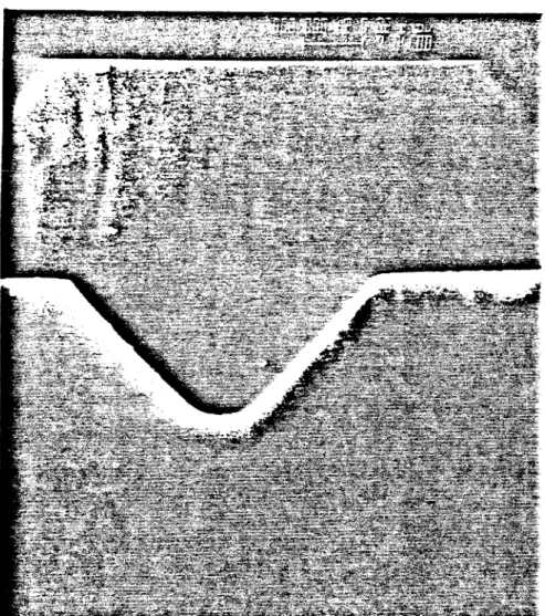Figure  2.2(a) SEM  picture  of the V  shape  groove after high temperature (720  °C)  mass transport.