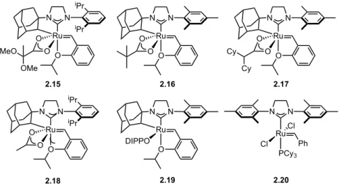 Figure 2.5. Previously reported NHC–Ru metathesis catalysts. 