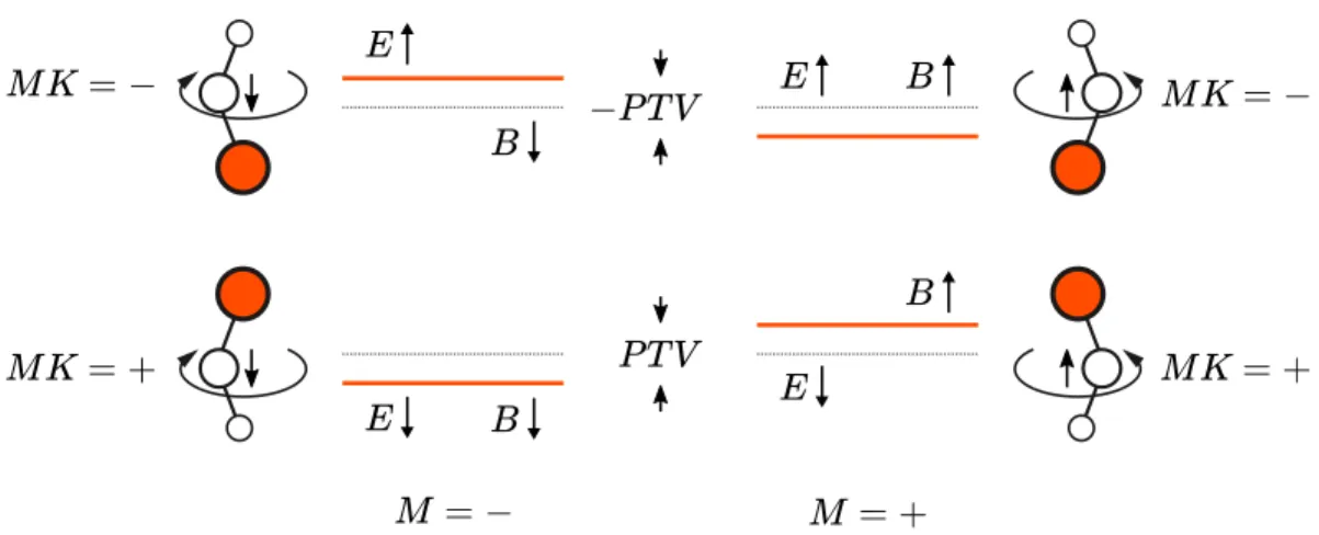 Figure 1.4: Diagram showing schematic energy shifts for measurements of 𝑃, 𝑇 violation (PTV) in a fully polarized molecule with parity doublets