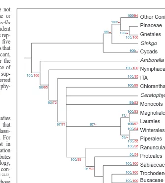 Fig. 2. Simplified ‘supertree’of branches in the source trees (branch-and-bound analysis of clades in individual multigene studies (source trees) usingmatrix representation with parsimony52 based on five recent multigene phylogenies forangiosperms18–22