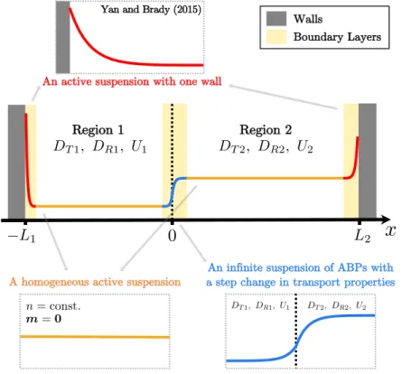 Figure 2.8: A schematic of the singular perturbation analysis with matched asymp- asymp-totic expansions when the length of a region is much larger than the boundary-layer thickness 𝐿 𝑖 ≫ 𝐷 𝑇 𝑖 / 𝑈 𝑖 