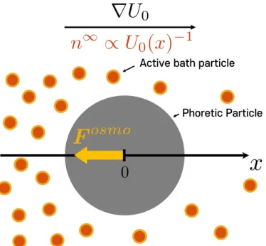 Figure 3.4: A schematic of reverse diffusiophoresis in a bath of active hard-spheres.