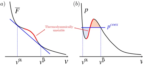 Figure 4.1: (a) A schematic description of the double-tangent construction on an isotherm in the diagram of the molar Helmholtz free energy 𝐹 versus the molar volume 𝑣 at a fixed temperature 𝑇 