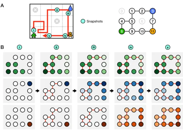 Fig. 2: Gridworld Example (V3)