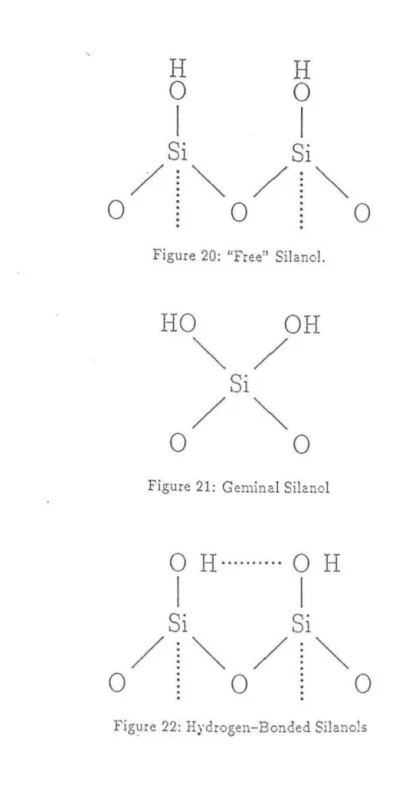 Figure  20: "Free"  Silano!. 